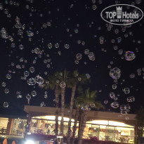 фото из отзыва ID 2694881