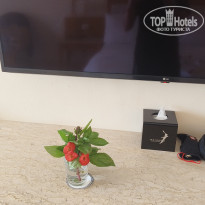 фото из отзыва ID 2691729