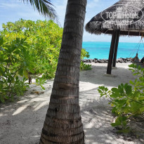 фото из отзыва ID 2694810