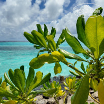 фото из отзыва ID 2694810