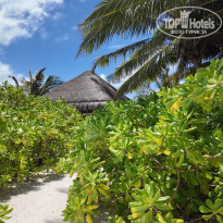 фото из отзыва ID 2694810