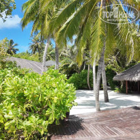 фото из отзыва ID 2694810