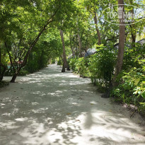 фото из отзыва ID 2694810