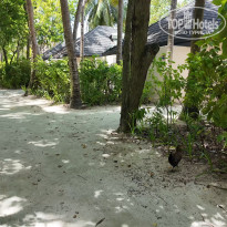 фото из отзыва ID 2694810