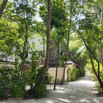 фото из отзыва ID 2694810