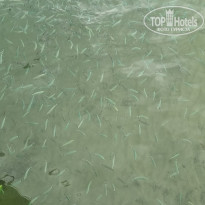 фото из отзыва ID 2694964