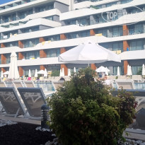 фото из отзыва ID 2694964