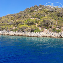 фото из отзыва ID 2694973