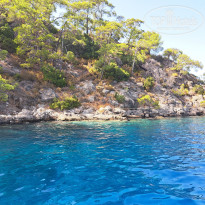 фото из отзыва ID 2694973