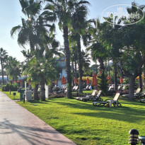 фото из отзыва ID 2694977