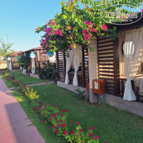 фото из отзыва ID 2694977