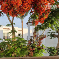 фото из отзыва ID 2695036