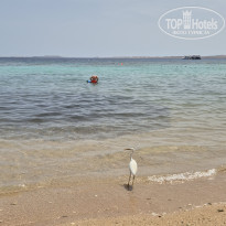 фото из отзыва ID 2695036