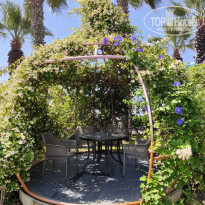 фото из отзыва ID 2695109