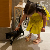 фото из отзыва ID 2695114