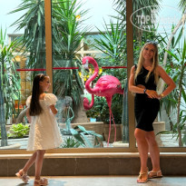 фото из отзыва ID 2695114