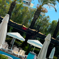 фото из отзыва ID 2695114