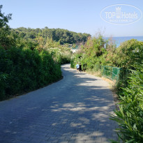 фото из отзыва ID 2695117