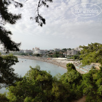 фото из отзыва ID 2695117