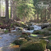 фото из отзыва ID 2695191