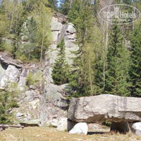 фото из отзыва ID 2695191