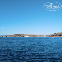 фото из отзыва ID 2695209