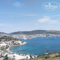 фото из отзыва ID 2695209