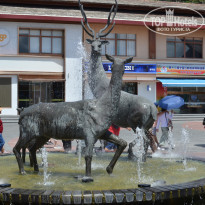 фото из отзыва ID 2695202