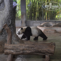 фото из отзыва ID 2695202