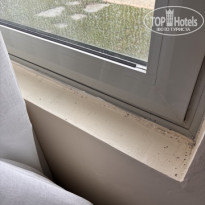 фото из отзыва ID 2695241