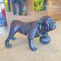 фото из отзыва ID 2695247