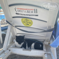 фото из отзыва ID 2695247