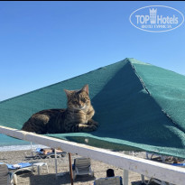 фото из отзыва ID 2695247