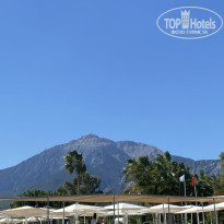 фото из отзыва ID 2695247