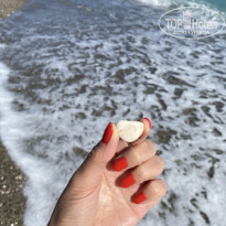 фото из отзыва ID 2695247