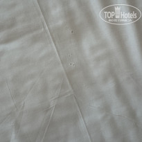 фото из отзыва ID 2695270