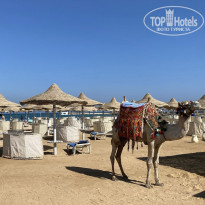 фото из отзыва ID 2695277