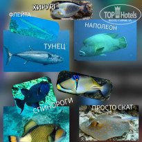 фото из отзыва ID 2695286