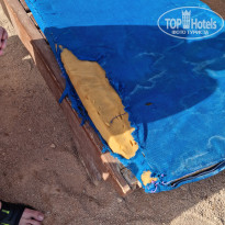 фото из отзыва ID 2695286