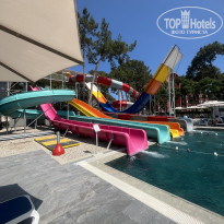 фото из отзыва ID 2695383