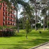 фото из отзыва ID 2695383