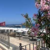 фото из отзыва ID 2695383