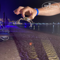 фото из отзыва ID 2695391