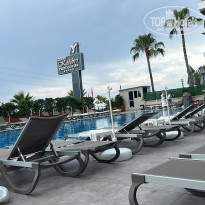 фото из отзыва ID 2695463