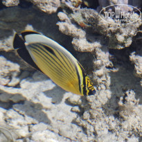 фото из отзыва ID 2695481