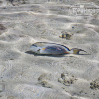 фото из отзыва ID 2695481