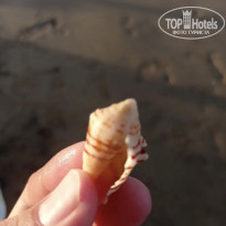 фото из отзыва ID 2695524