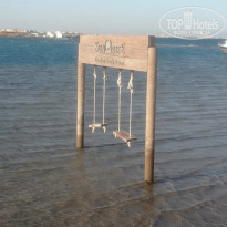 фото из отзыва ID 2695524