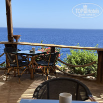 фото из отзыва ID 2695529