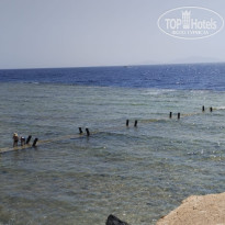 фото из отзыва ID 2695522